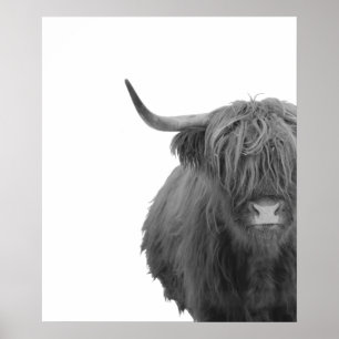 Highland-Rind Schottland Ländlich Schwarz Weiß Pos Poster