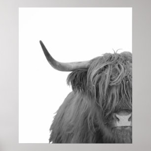 Highland-Rind Schottland Rustikal Schwarz Weiß Pos Poster