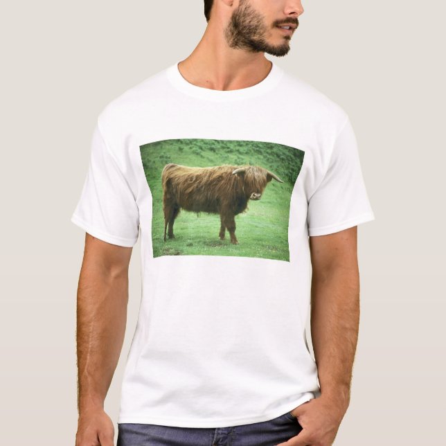 Highland Steer, Insel Mull, Innere T-Shirt (Vorderseite)