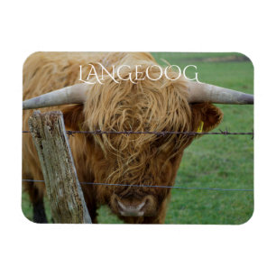 Highland Steer, Langeoog Island, Friesen Magnet