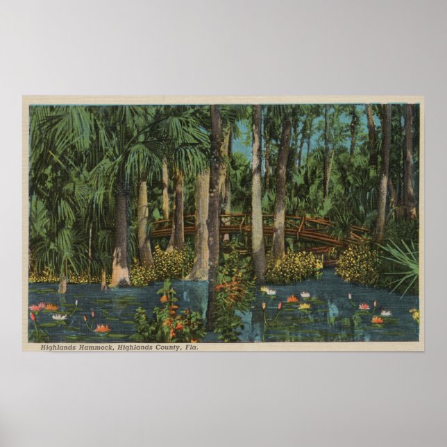 Highlands Landkreis, FL - View of Highlands Hammoc Poster (Vorne)