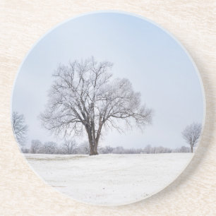 Highlighted Winter Oak Tree Getränkeuntersetzer