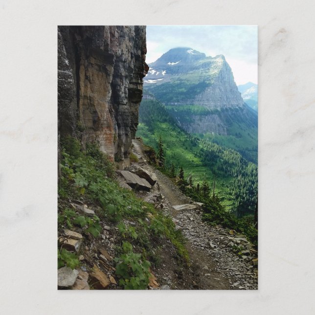 Highline Trail Glacier Nationalpark Montana Postkarte (Vorderseite)