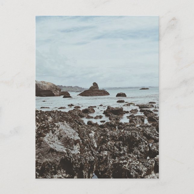 Highway 1 Rocky Beach Postkarte (Vorderseite)