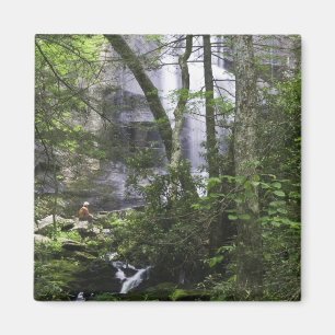 Hiker bewundert die Falls Branch Falls Magnet