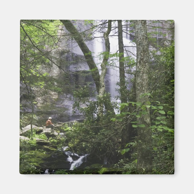 Hiker bewundert die Falls Branch Falls Magnet (Vorne)