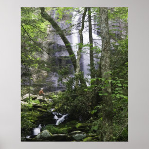 Hiker bewundert die Falls Branch Falls Poster