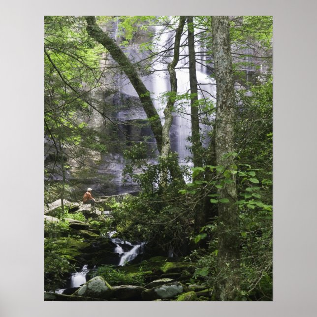 Hiker bewundert die Falls Branch Falls Poster (Vorne)