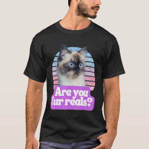   Hilarisches Katzen-Meme Kätzchen Feline   Bist d T-Shirt