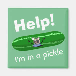 Hilfe, die ich in einem Pickle habe Magnet