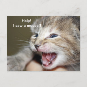 "Hilfe, ich habe eine Maus gesehen!" Postkarte