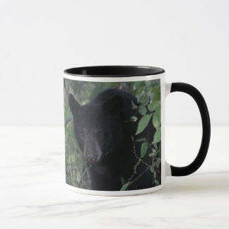 Hilfe retten einen Bären verlassen ihn allein Tasse