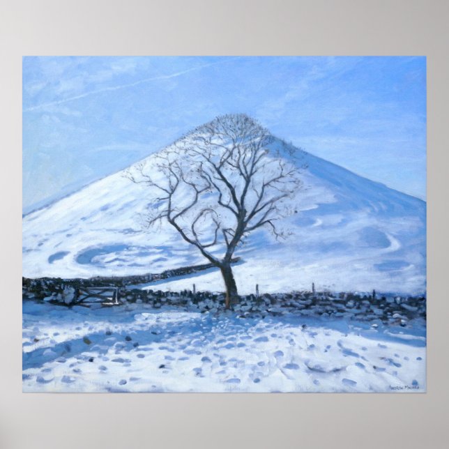 Hill and Tree Derbyshire 2008 Poster (Vorne)