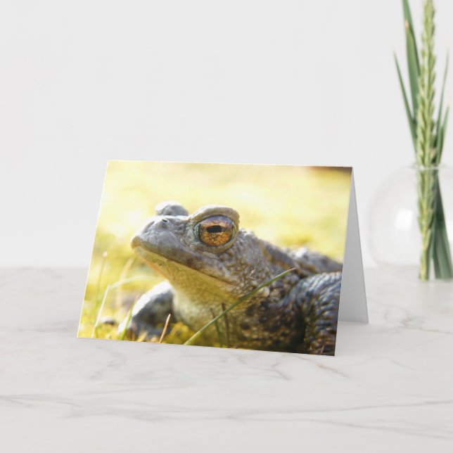 Hill End Toad Karte (Vorderseite)