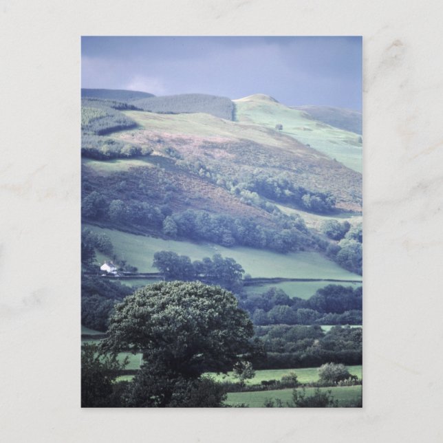 Hillside in Wales UK Postkarte (Vorderseite)