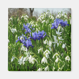Hillside of Early Spring Flowers Landschaft Magnet