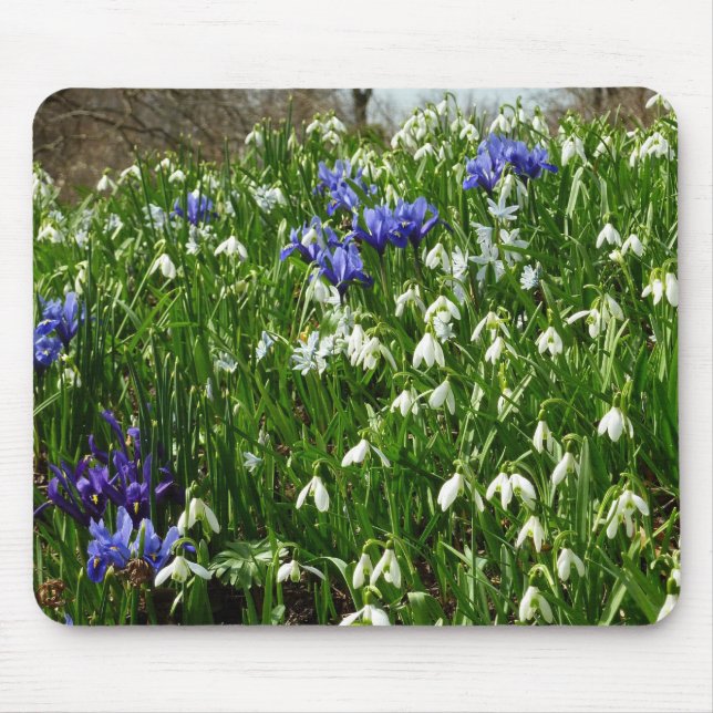 Hillside of Early Spring Flowers Landschaft Mousepad (Vorne)