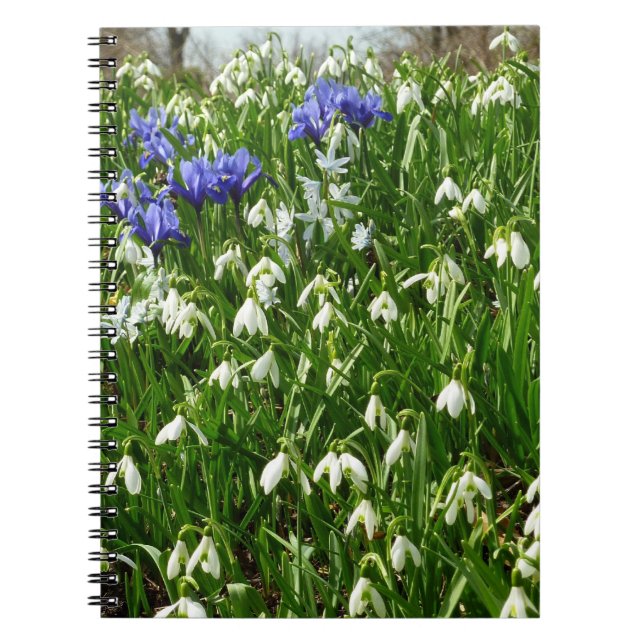 Hillside of Early Spring Flowers Landschaft Notizblock (Vorderseite)