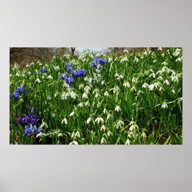 Hillside of Early Spring Flowers Landschaft Poster (Vorne)