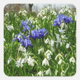 Hillside of Early Spring Flowers Landschaft Quadratischer Aufkleber