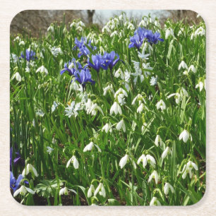Hillside of Early Spring Flowers Landschaft Rechteckiger Pappuntersetzer