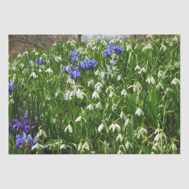 Hillside of Early Spring Flowers Landschaft Seidenpapier (Vorderseite)