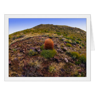 " Hillside Silo "