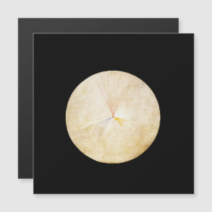 Hilma Af Klint, The Swan No.14, Abstrakt Art Magneteinladung