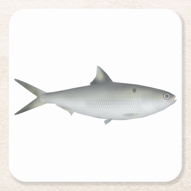 Hilsa Shad Rechteckiger Pappuntersetzer (Vorderseite)