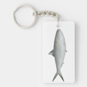 Hilsa Shad Schlüsselanhänger