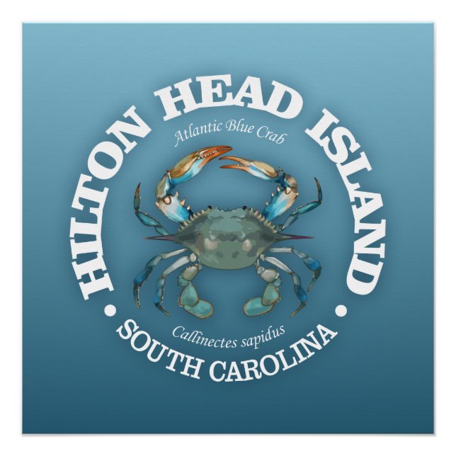 Hilton Head (blaue Krabbe) Poster (Vorderseite)
