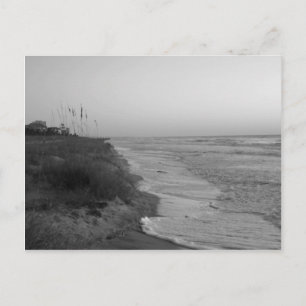 Hilton Head Island Shoreline/Schwarz/Weiß Postkarte