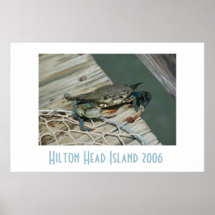 Hilton- Head Islandplakat Poster