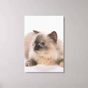 Himalaja Leinwanddruck