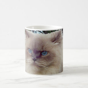 Himalaja-Perserkatze Kaffeetasse