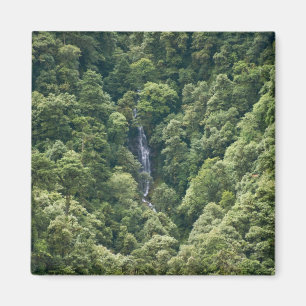 Himalaja-Wald im Mangdue-Tal, Bhutan Magnet
