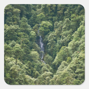 Himalaja-Wald im Mangdue-Tal, Bhutan Quadratischer Aufkleber