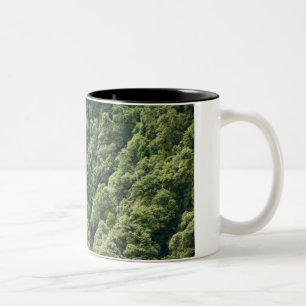 Himalaja-Wald im Mangdue-Tal, Bhutan Zweifarbige Tasse