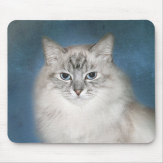 Himalajakatze des blauen Punktes Mousepad