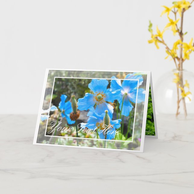 Himalaya blauer Mohn [Grußkarte] ド Karte (Gelbe Blume)
