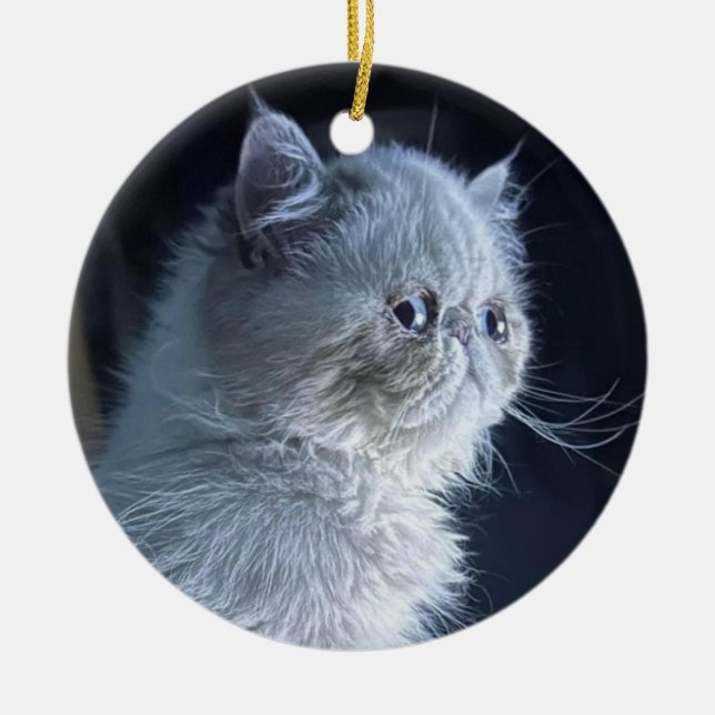 Himalayan Cat Keramik Ornament (Vorne)