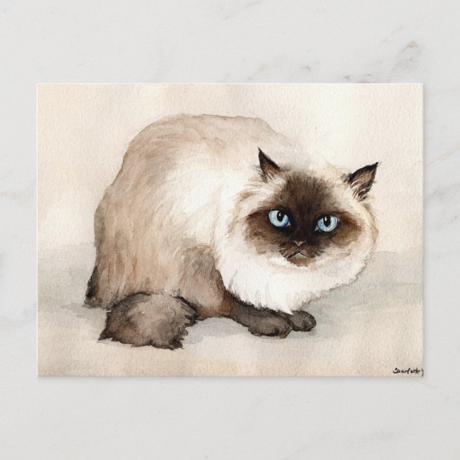 Himalayan Cat Original Postkarte (Vorderseite)