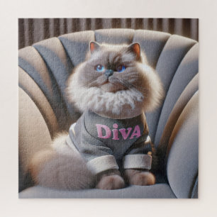 Himalayan Diva Cat