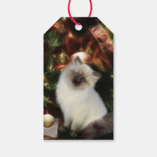 Himalayan Kitten Weihnachten Geschenkanhänger