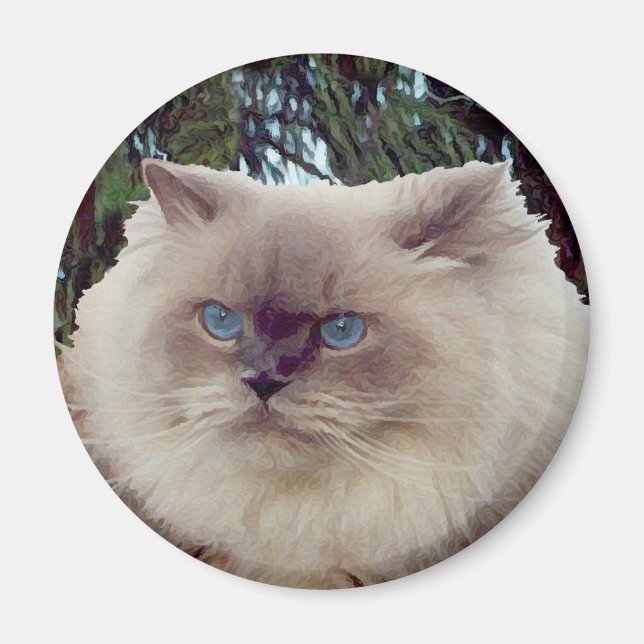 Himalayan Persian Cat Magnet (Vorne)