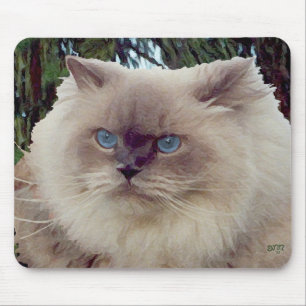 Himalayan Persian Cat Mousepad