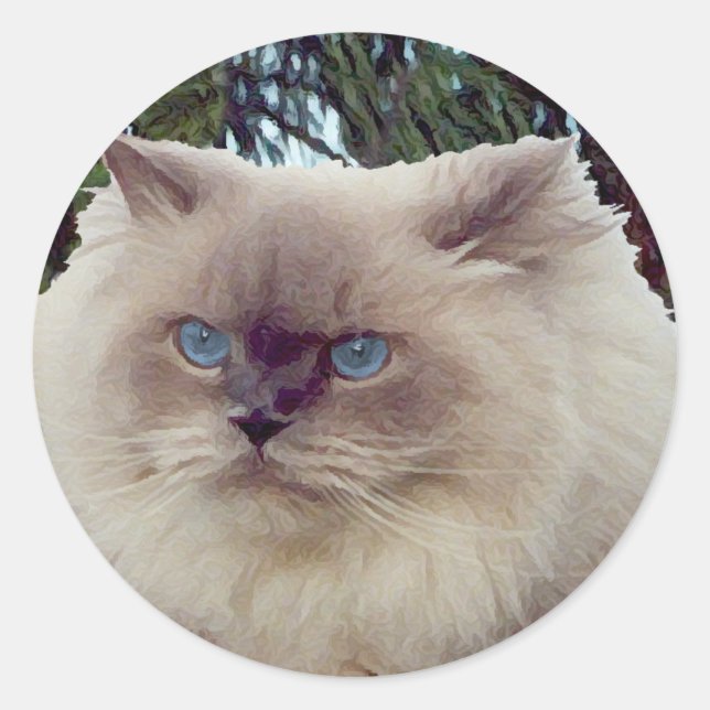 Himalayan Persian Cat Runder Aufkleber (Vorderseite)