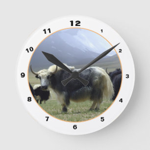 Himalayan Yaks & Mountains in Ladakh / Yak Tibet Runde Wanduhr