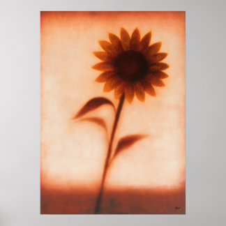 Himawari Sonnenblume Japanische Florale Abstraktio Poster