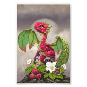 Himbeere Dragon 4x6 Print Fotodruck